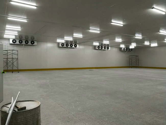建造100平方冷凍庫需要多少錢？